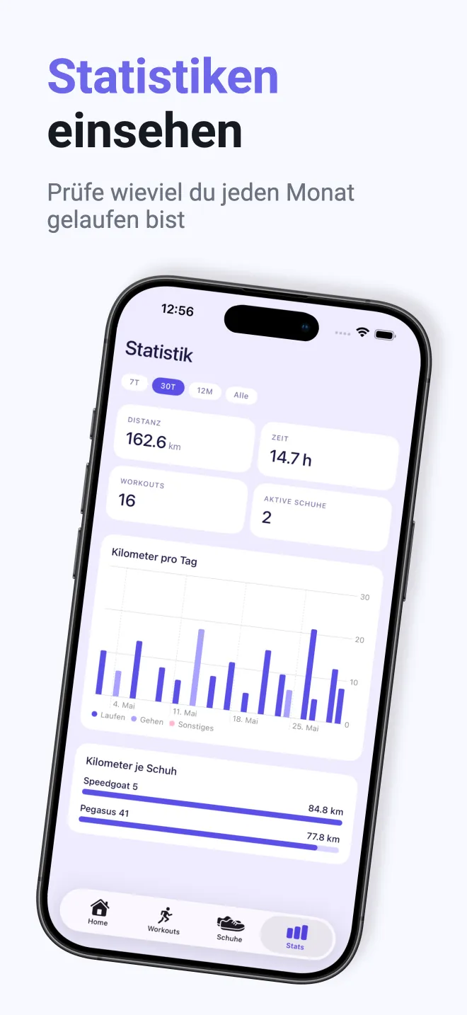 Statistik mit Kilometern pro Tag und je Schuh